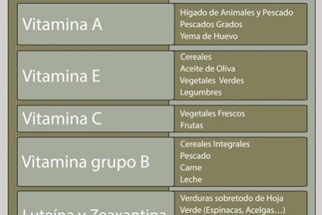 Alimentos Recomendados para prevenir la degeneración macular Alimentos Recomendados para prevenir la degeneración macular