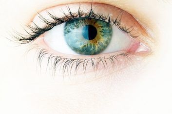 Fondo de Ojo: Prevención de Desprendimiento y Agujeros en Retina Fondo de Ojo: Prevención de Desprendimiento y Agujeros en Retina
