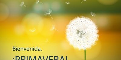 Bienvenida Primavera Bienvenida Primavera