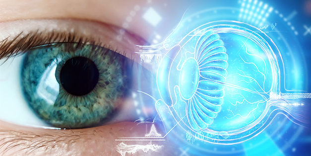 El cristalino del ojo su estructura funciones afecciones y cuidados